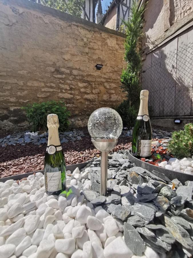 Apartamento Les Cieux de la Cathédrale - Calme - Jardin - Wifi Troyes Exterior foto